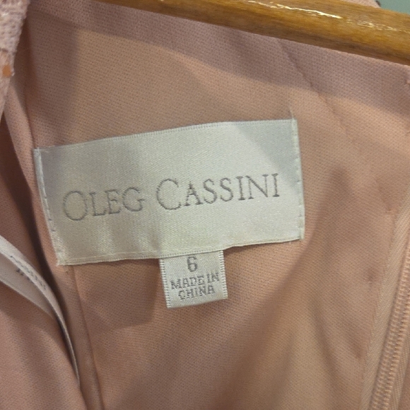 Oleg Casini Dusty Pink Mother Of The Bride Or Groom Gown With Shawl Size 6 - Picture 7 of 13